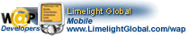 Limelight Global - Online Database, eCommerce, Database, Interactive Solutions